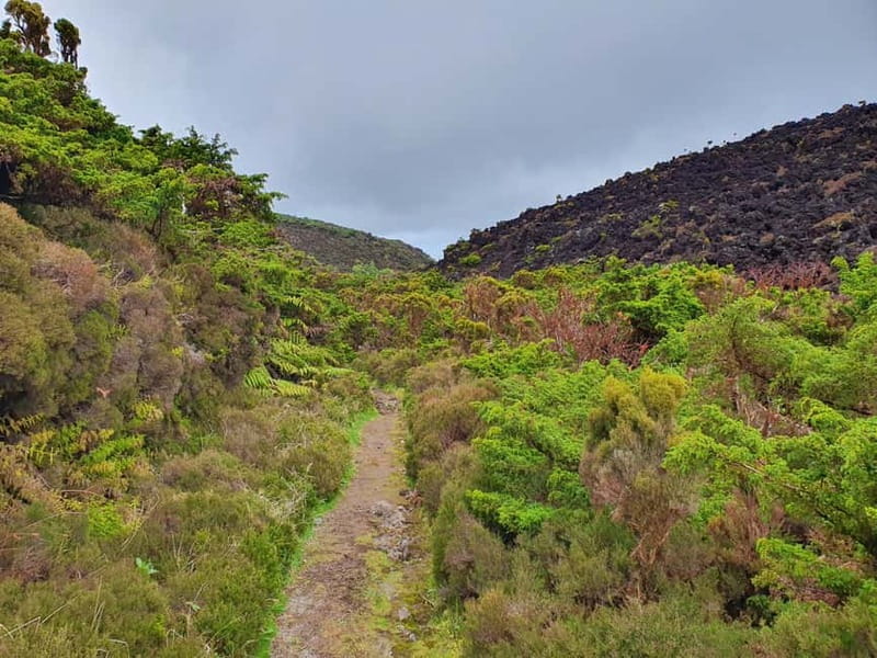Terceira Island: Mistérios Negros & Mist. Novo Hike w/picnic - Logistics and Practical Tips