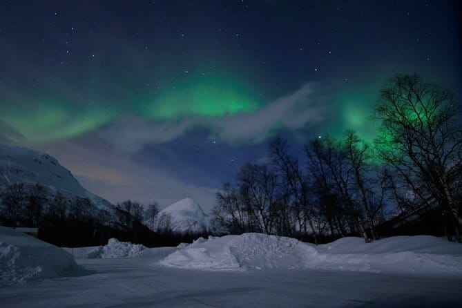 The Aurora Tour - VIP trip for northern lights, aurora borealis - Price and Logistics: Is it Worth It?