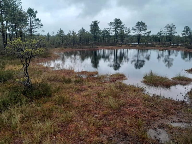 The Authentic Lahemaa daytour Carmen reisid - The Itinerary in Detail