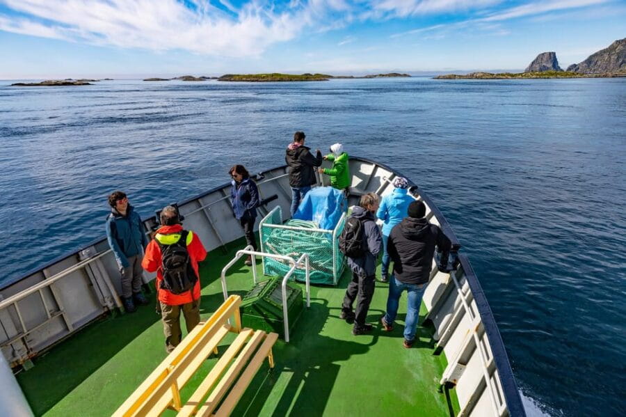 The Bird Safari Tour - The Value and Cost: Is It Worth It?