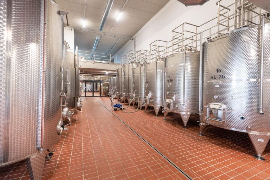 The Dosman: Winetasting in La Morra - Who This Tour Is Best For