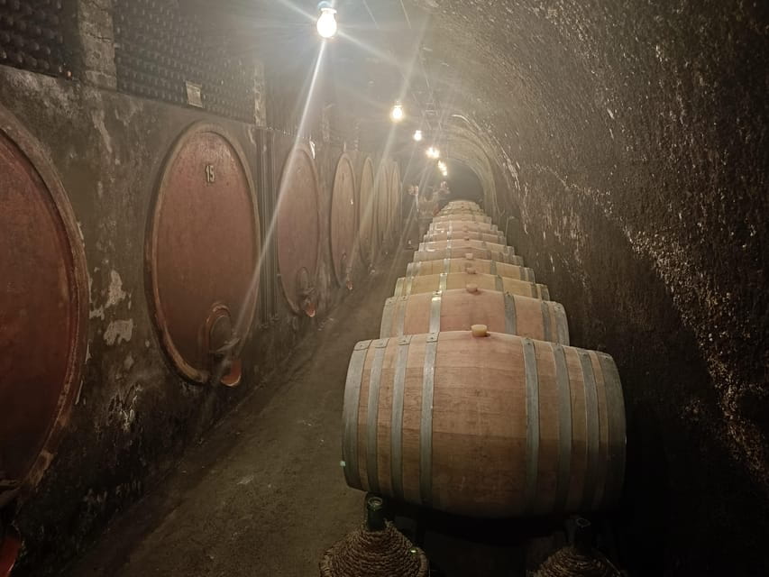 The Dying City "Civita Bagnoregio" w/wine tasting from Port - Final Thoughts: Who Is This Tour For?