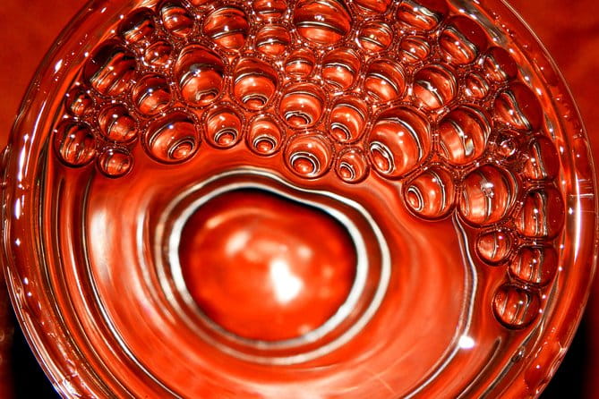 The Medronho Experience! - Tasting Medronho: The Spirit of the Mountains