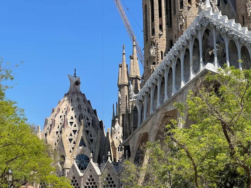 The Sacred Vision: Sagrada Família Guided Experience - Why This Tour Offers Real Value