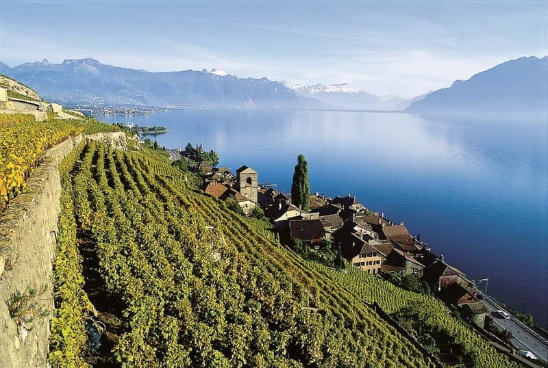 The Swiss Riviera Experience  Exclusive Private Tour - Analyzing the Tour’s Value