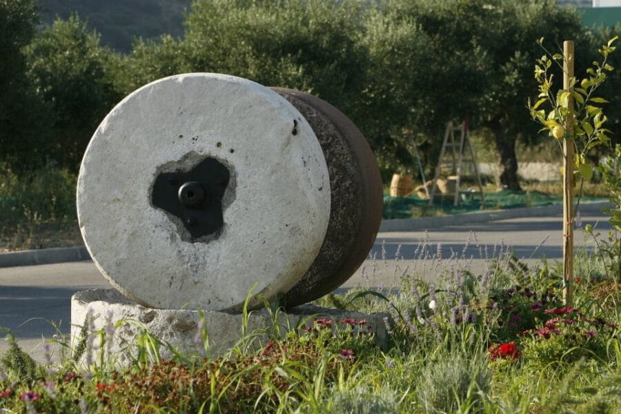 The Terra Creta Olive Oil Experience Tour - The Modern Olive Oil Mill: A Closer Look