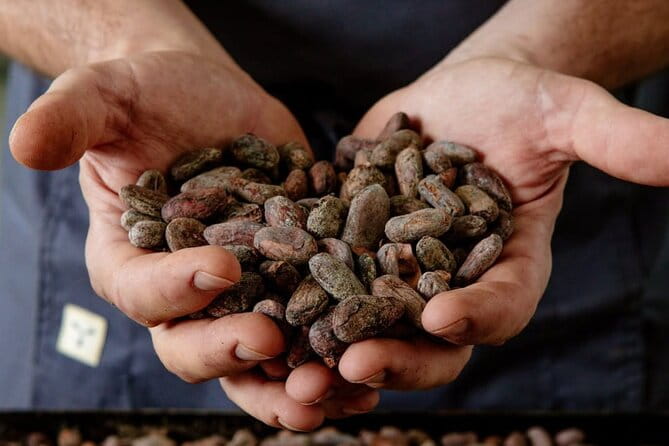 The Turin Chocolate Factory Guided Tour & Tasting - The Tasting Experience: Sweets for the Senses