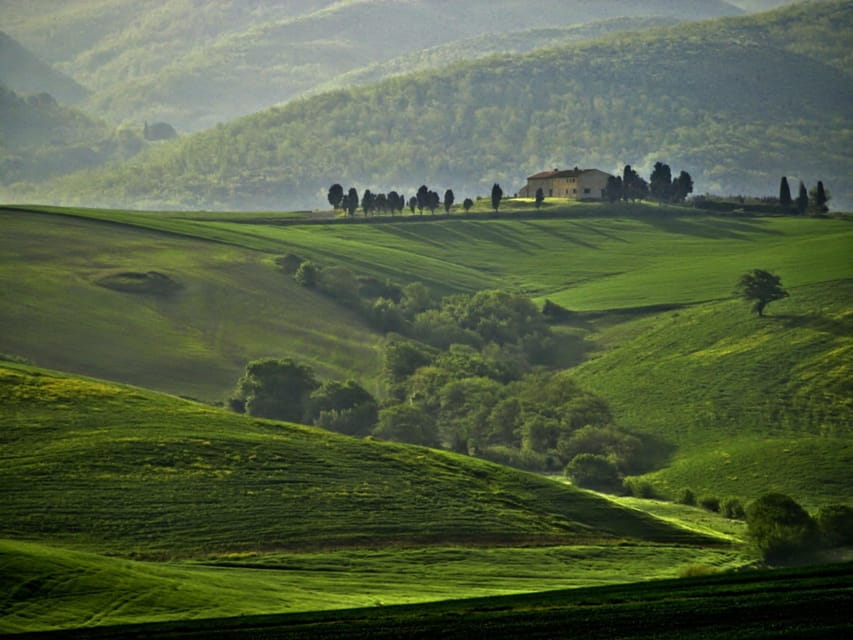The Tuscan lavender field - Photographing the Landscape and Blooming Sunflowers