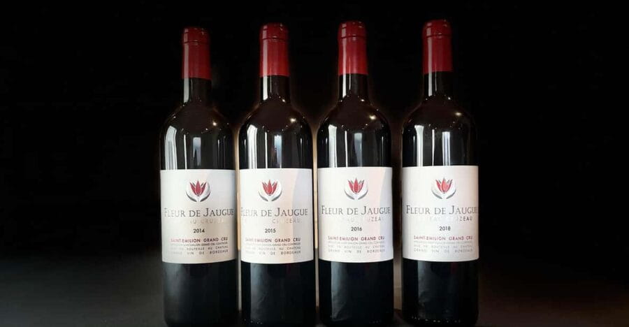 The vertical at Château Cruzeau - What You Can Expect: Step-by-Step