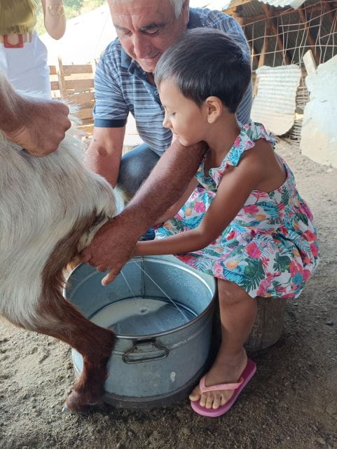 Thessaloniki: Visit a Farm and a traditional Village - Price and Logistics: Is It Worth It?