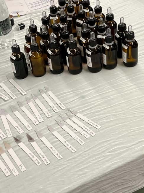 Tirana: The Art of Making a Perfume - Who Is This For?