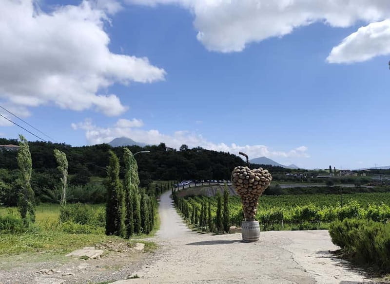 Tirana to Shkoder by Eden: Private day trip - Who Is This Tour Best For?