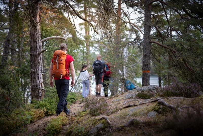 Tiveden National park: Summer guided walk around Stenkälla - Practical Details & Tips for Visitors