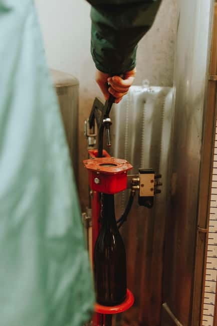 Tomar: Learn About Winemaking with a Tasting - Key points / takeaways