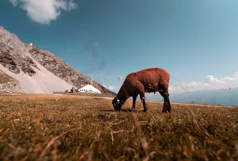 Top of Innsbruck: Roundtrip Cable Car Ticket - Who Will Love This Experience?