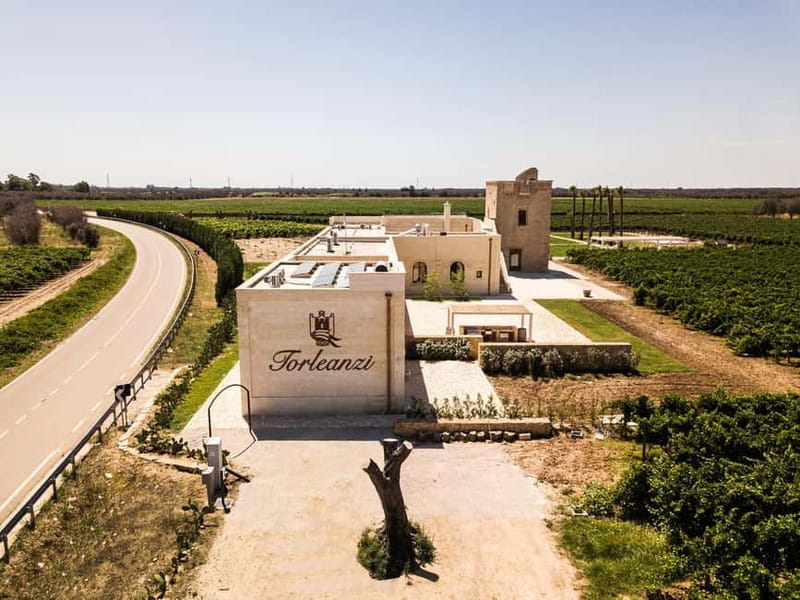 TORLEANZI: wine tour and tasting at winery in Torre San Gennaro - Entering a Historic Cellar: The Masseria and Its Stories