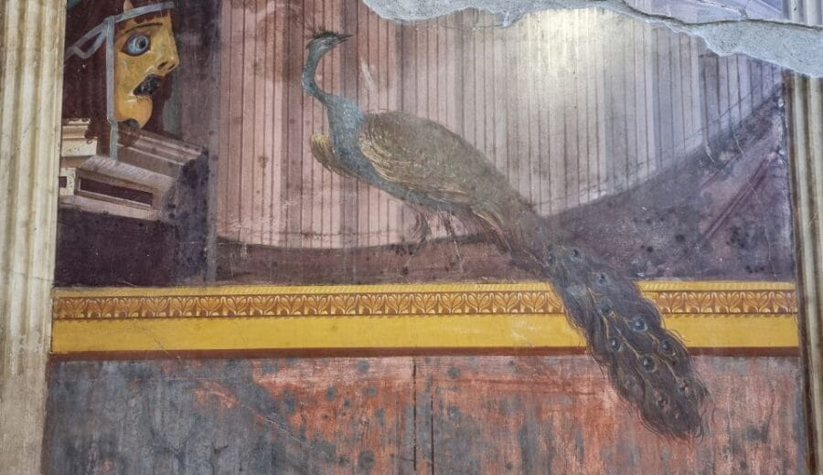 Torre Annunziata: Villa Poppea Smartphone Audio Guide - Pricing and Overall Value