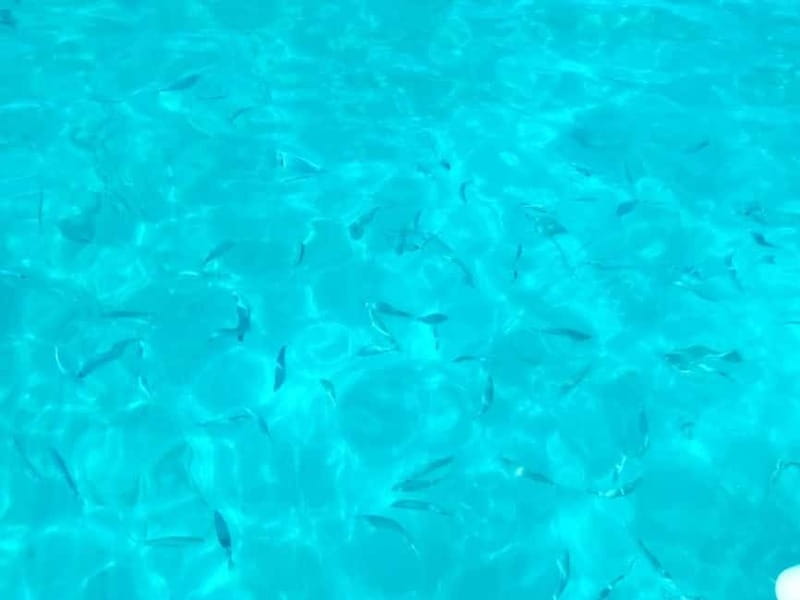 Torre Salsa: Boat excursion to the most pristine places in Agrigento - A Deep Dive into the Itinerary