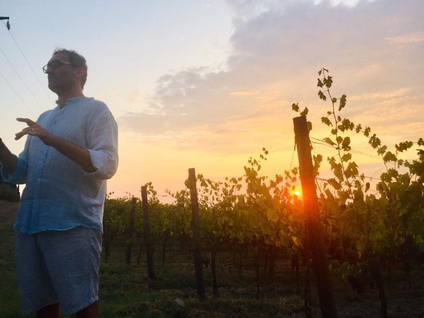 TOSCANA -Guided Tour, Wine Tasting, and Local/Syrian Bites - Tasting in the Cantina: A Feast for the Senses