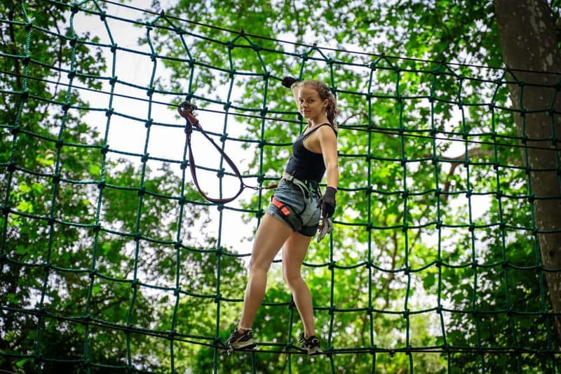 Toulon: Tree climbing course - A Forest Adventure in Toulon: What to Expect