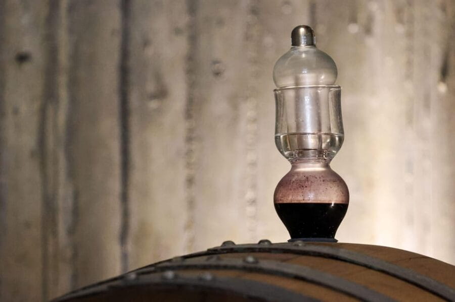 TOUR AND LUNCH AT THE CELLAR, HIS MAJESTY THE FLORENTINE STEAK - The Perfect Wine Pairings