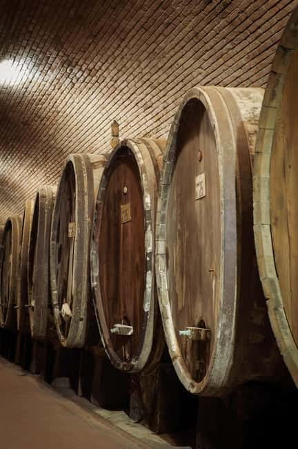 Tour and tasting at Casalbosco estate - The Warm Welcome and Guided Tour