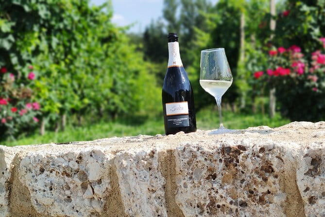 Tour and tasting in the hills of Prosecco Superiore DOCG - Who Will Love This Tour?