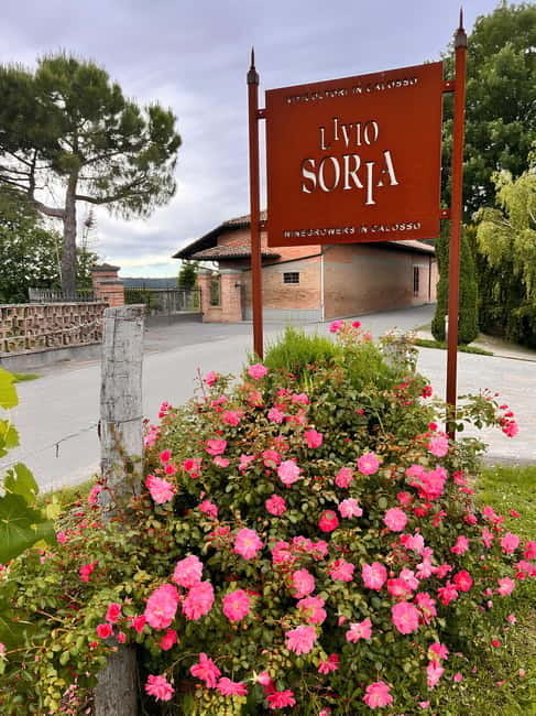 Tour and Wine Tasting between Langhe and Monferrato - Key points / Takeaways