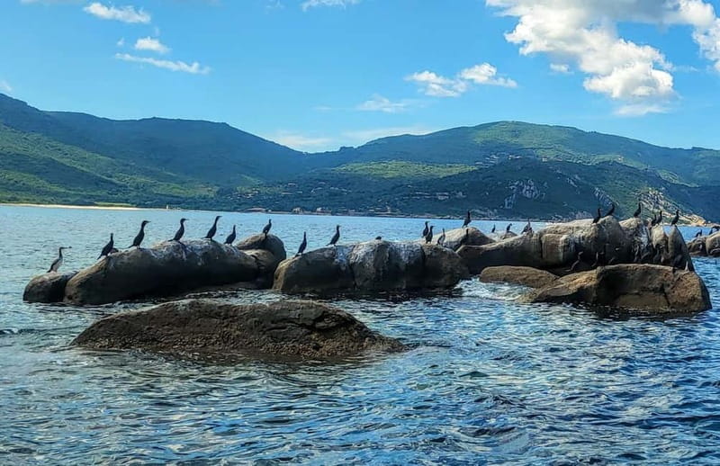 Tour bateau avec vision sous-marine/Sites classés+Baignade - The Full Experience: A Deep Dive into Corsica’s Coastline