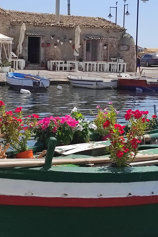 Tour da Avola A Plemmirio (Siracusa) Immersi nelle riserve - Practical Details: Logistics and Value