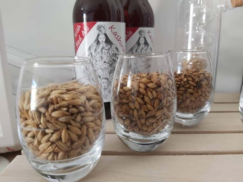 Tour of a craft brewery with tasting - The Heart of the Brewery: An Up-Close Look at the Brewing Process