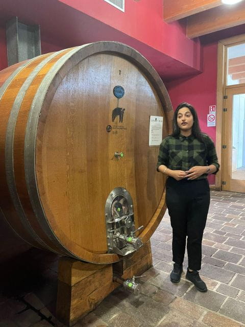 Tour of Cilento: a journey through history and archaeology - Exploring the Vineyards and Wine Tasting