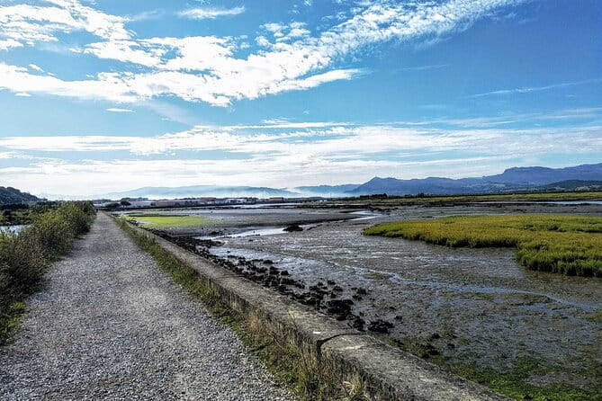 Tour to the Anchovies Factory and Santoña Marshes with Tasting - FAQ