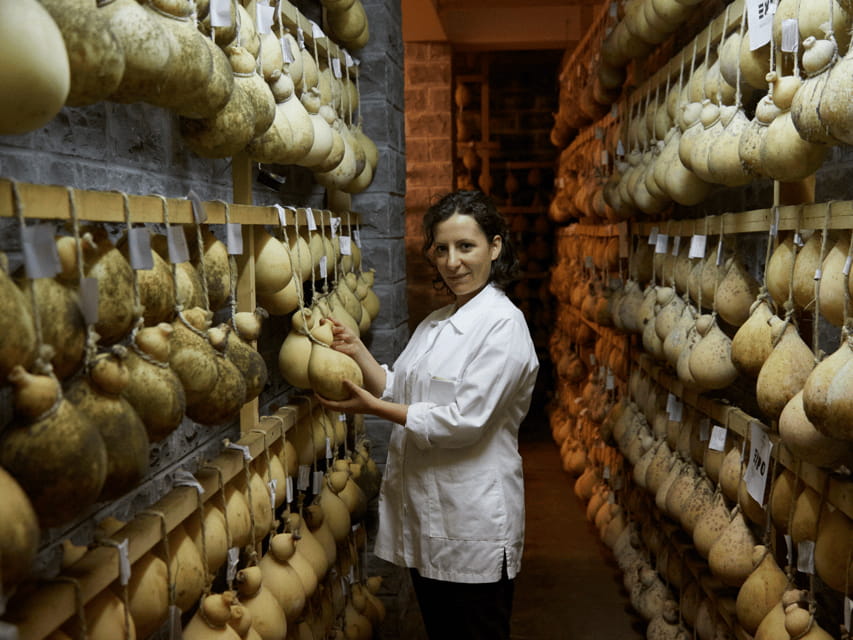 Traditional Cheese Factory Visit with Tasting near Isernia - A Step Into the Cheese-Making Process