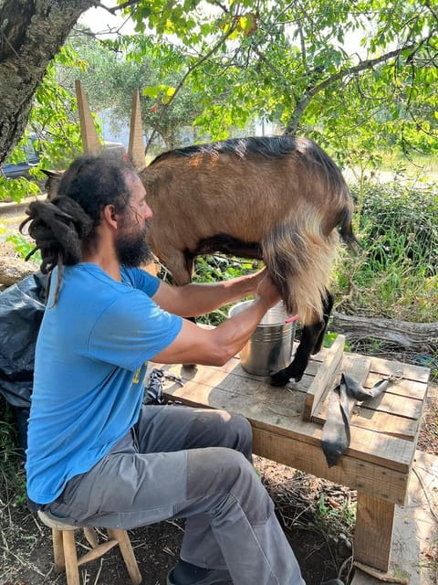 Trancoso: Farm eco-Tour with Tasting - Why It’s a Great Value