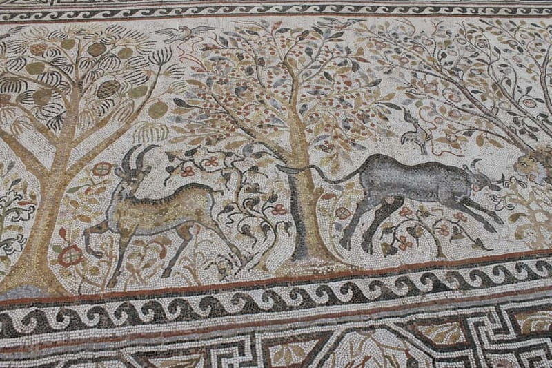 Transfer from Skopje to Ohrid With Stop at Bitola - A Scenic Journey from Skopje to Ohrid with Culture and Comfort