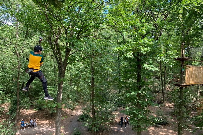 Tree Top Adventure in Forest of Meudon - Entering the Forest: What You Can Expect