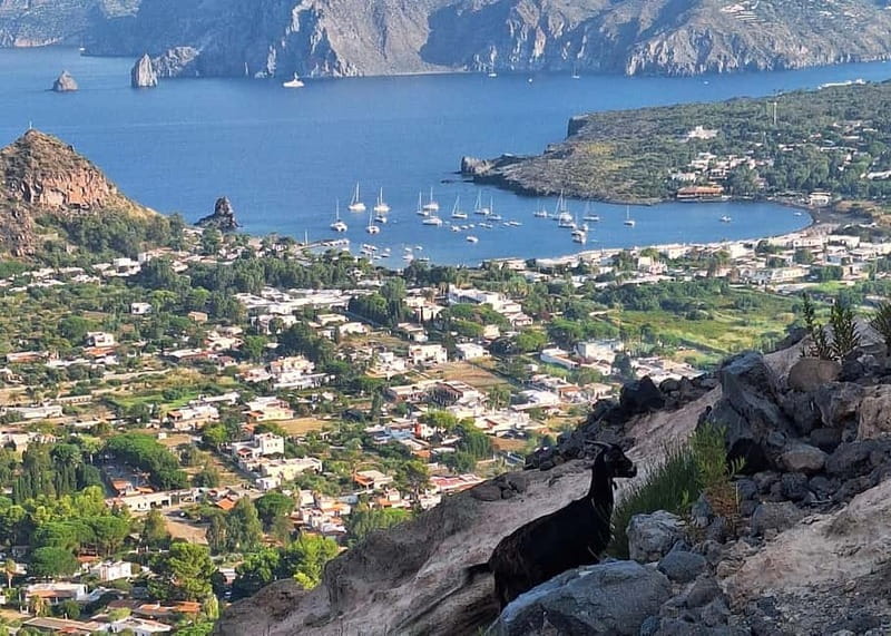 Trekking to discover the Great Crater of Vulcan - Price, Logistics, and Value