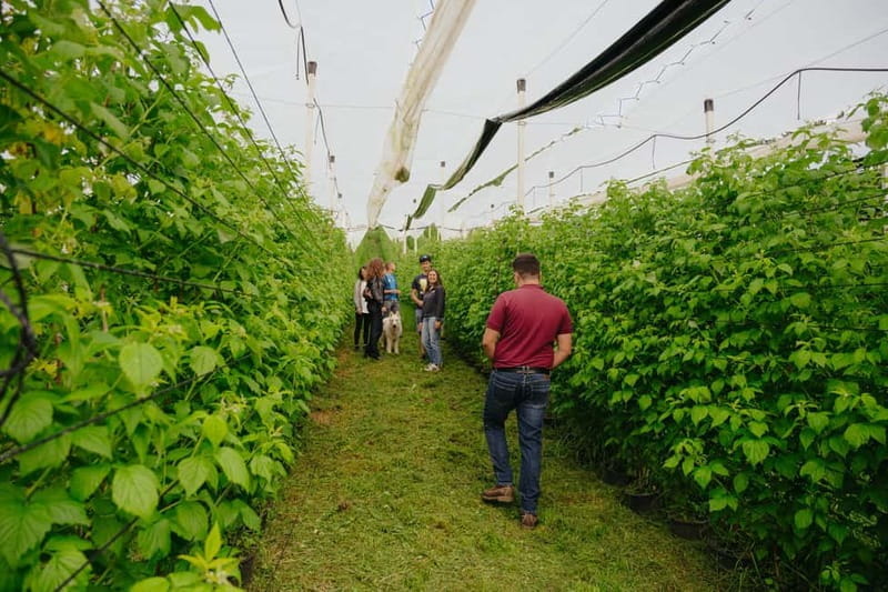 Trentino Agriconda: frutTIAMO...Explore, Learn, Taste Small Fruits - Who Will Love This Experience?