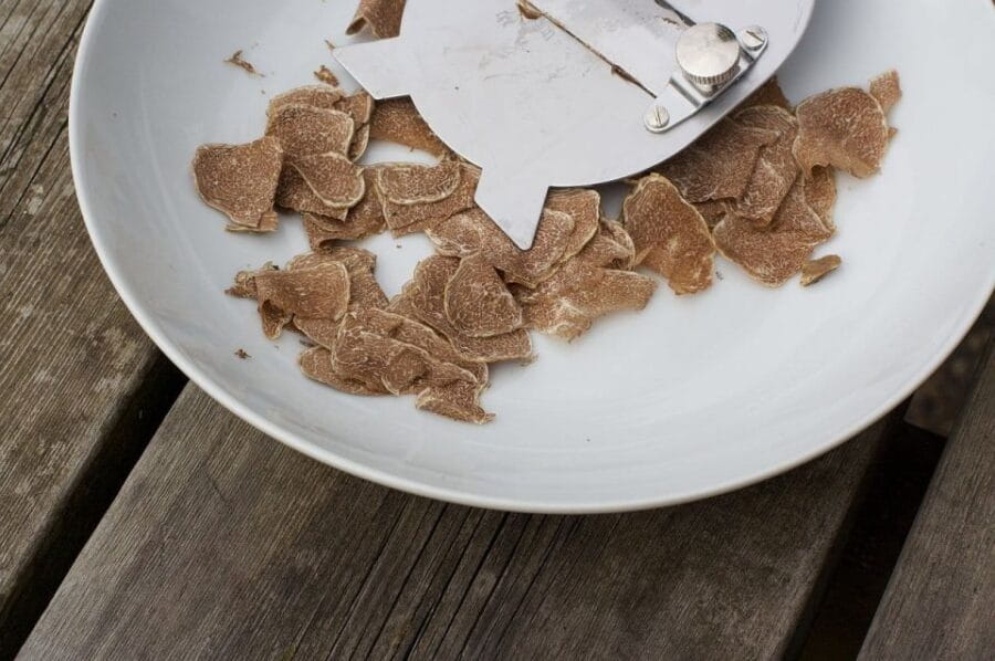 Trequanda: Tuscan Truffle Hunting Experience with Lunch - Final Thoughts: A Unique Taste of Tuscany