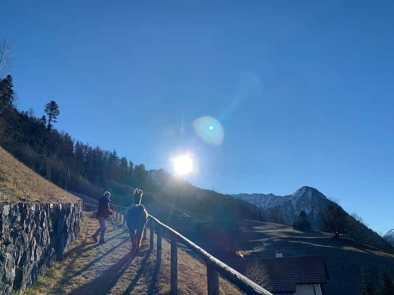 Triesenberg: Llama hike with a delicious BBQ in the middle of the forest - What Makes This Experience Stand Out