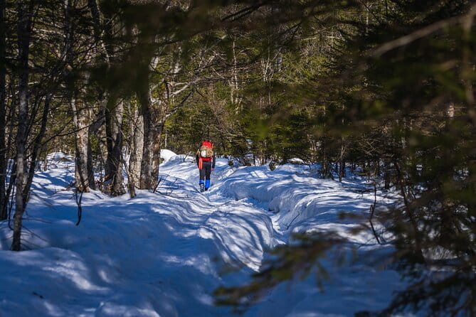 Triglav winter edition - Entering the Realm of Slovenia’s Highest Peak