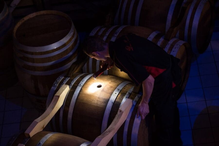 Trio Chocolaté - Tour en français - Champagne Passy-Grigny - The Tour Experience: From Vine to Glass