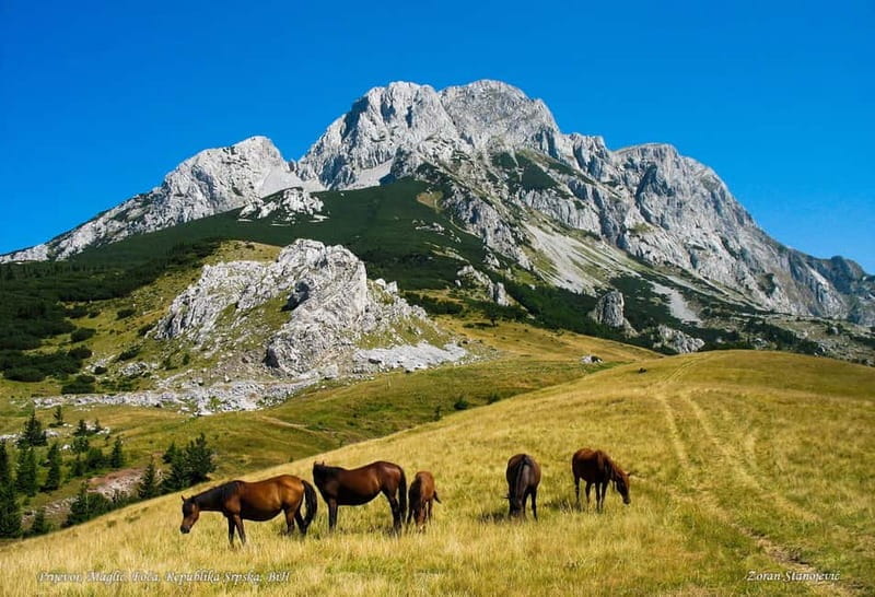 Trnovako Lake: National Park Sutjeska- Magli - Trekking - Entering the Heart of the Wilderness: Trip Logistics and What It Means for You
