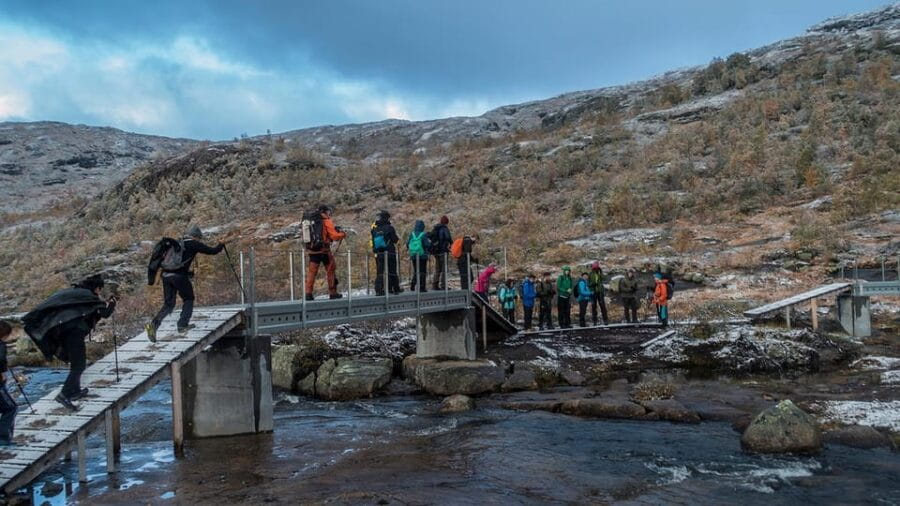 Trolltunga Autumn Hike Go Viking - Exploring the Details of the Autumn Trolltunga Hike