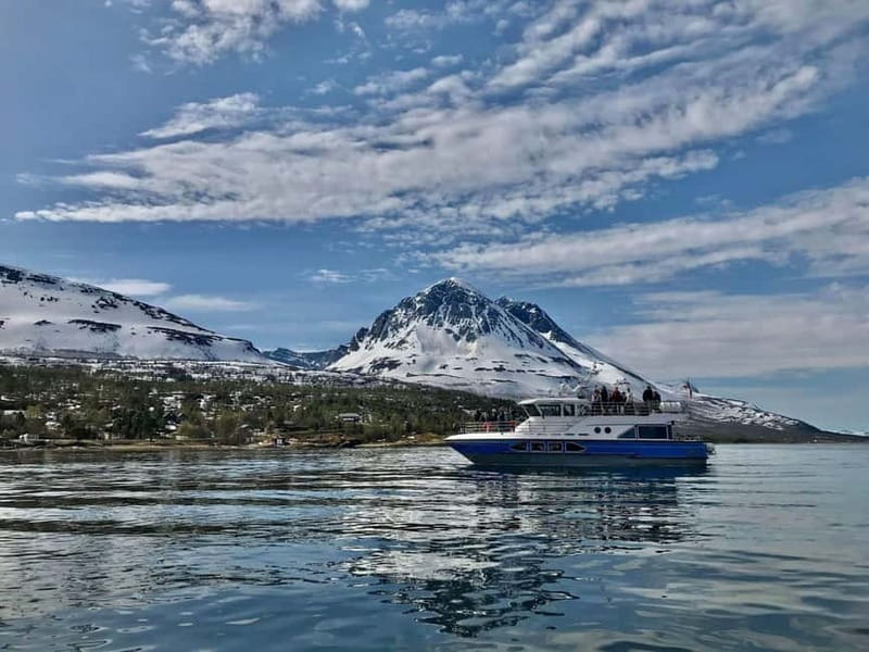 Tromsø: 2-Hour Island Tour Cruise with Snacks and Drinks - Who Is This Tour Best For?