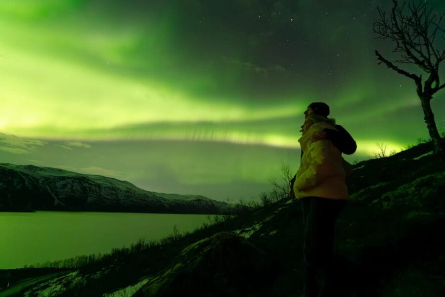 Tromsø: Aurora Quest Minibus Adventure - Entering the Arctic Wilderness: What to Expect on the Tour