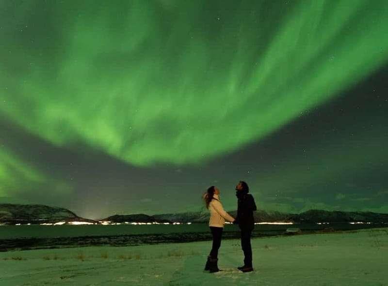 Tromsø: Aurora Safari Chase by big bus with Camp meal - Who Is This Tour Best Suited For?