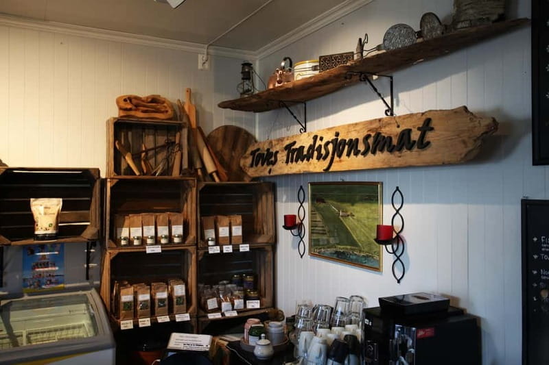 Tromsø: Easy Snowshoeing Tour with Coffee and Cake - A Gentle Arctic Adventure in Malangen