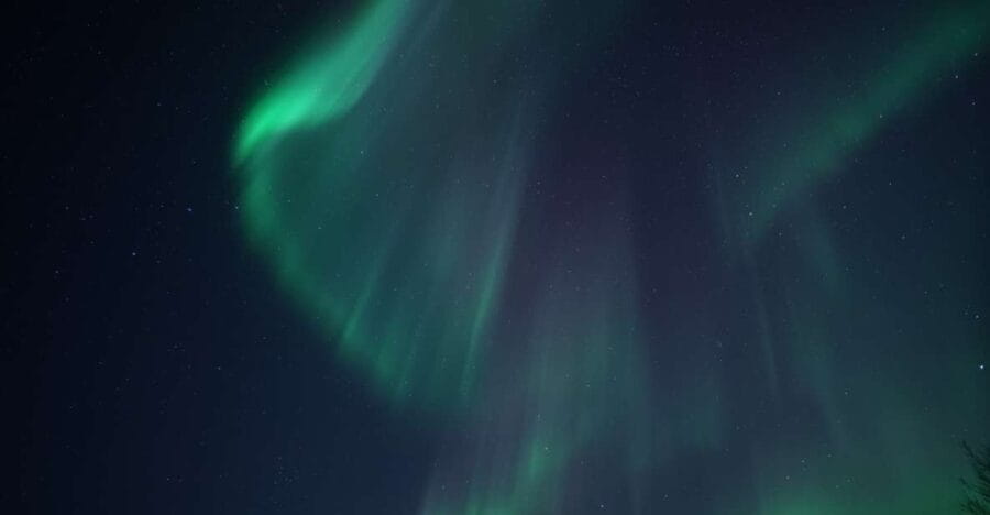 Tromsø: Evening Cruise with Northern Lights Opportunity - Setting the Scene: What to Expect